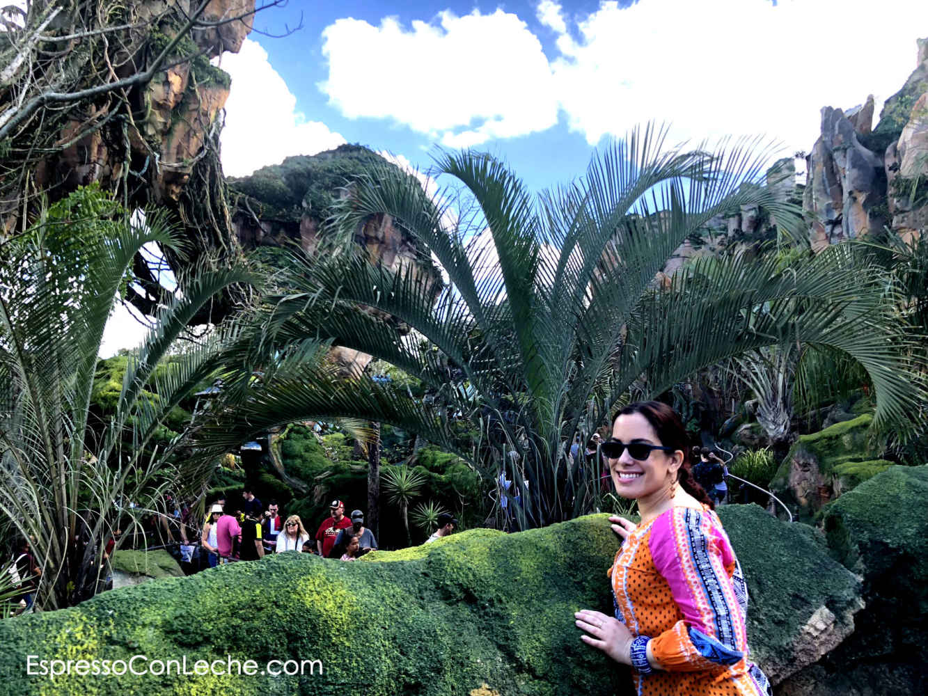 Un Mundo Mágico Inspira Proteger la Naturaleza / A Magical World Inspires the Protection of Nature #VisitPandora